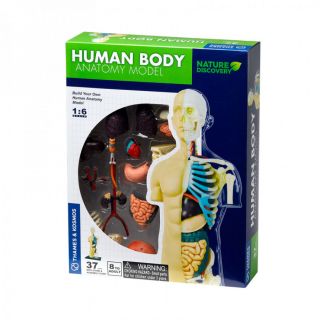Kosmos Анатомия Човешкото тяло, 37 части