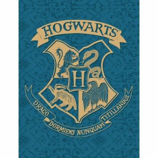 Кутия Harry Potter от неръждаема стомана