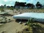  Candide Матрак за пътуване Ocean Friendly Изработен От Рециклирана Пластмаса, Събрана От Океана 60х120х4см 