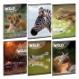 Ars Una Тетрадка А5 с широки редове Eyes of the Wild, 3бр. в опаковка