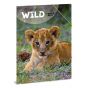 Ars Una The Eyes of the Wild Папка с ластик А4 
