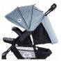 Lorelli Детска количка Daisy Basic с покривало, Silver Blue