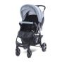 Lorelli Детска количка Daisy Basic с покривало, Silver Blue