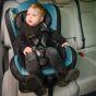 Lorelli Детско столче за кола Falcon, Brittany Blue  - 0-18 кг.